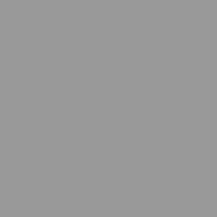 Панель NormanMP 0,5 цвет RAL9006
